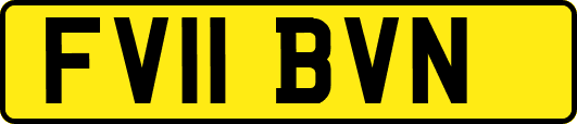 FV11BVN