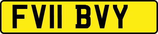 FV11BVY