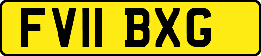 FV11BXG