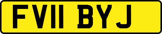 FV11BYJ