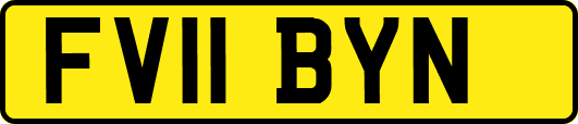 FV11BYN