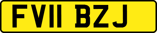 FV11BZJ