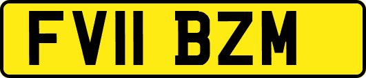 FV11BZM