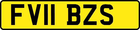 FV11BZS