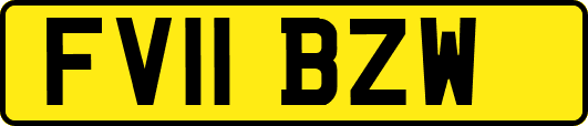 FV11BZW