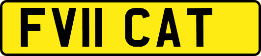 FV11CAT