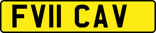 FV11CAV