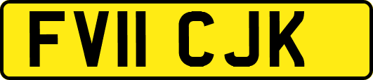 FV11CJK