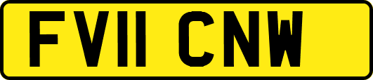 FV11CNW