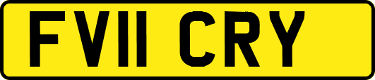 FV11CRY