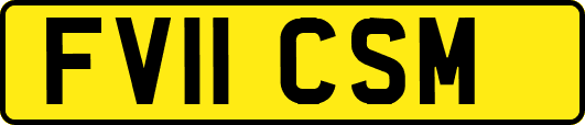 FV11CSM