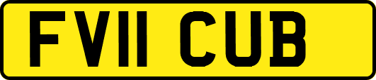 FV11CUB