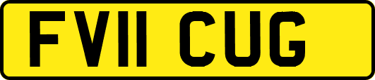 FV11CUG