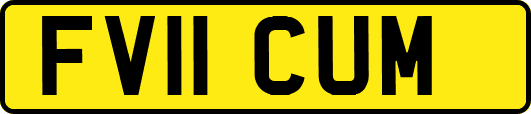 FV11CUM