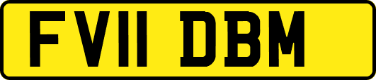 FV11DBM