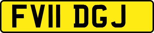 FV11DGJ