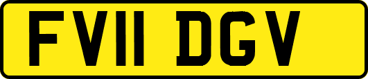 FV11DGV