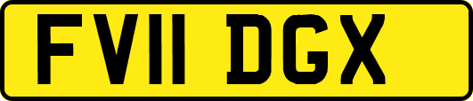 FV11DGX