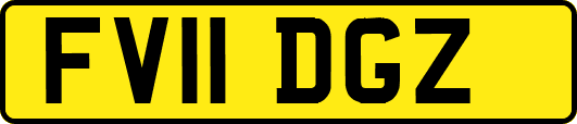 FV11DGZ
