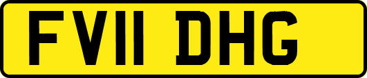 FV11DHG