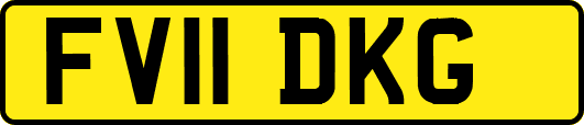 FV11DKG
