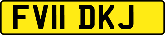 FV11DKJ