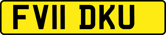 FV11DKU