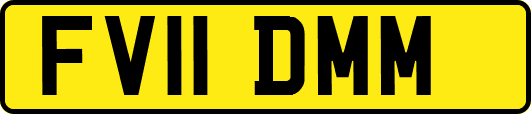 FV11DMM