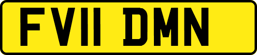 FV11DMN