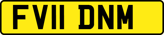 FV11DNM