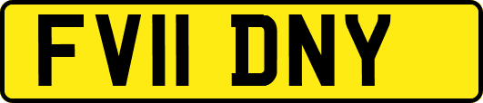 FV11DNY