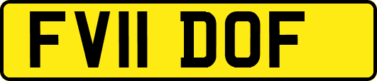 FV11DOF