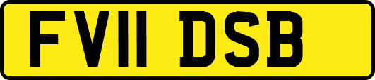 FV11DSB
