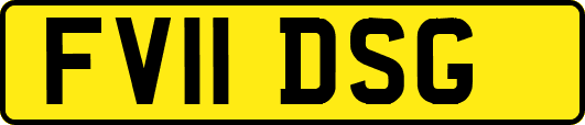 FV11DSG