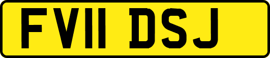 FV11DSJ