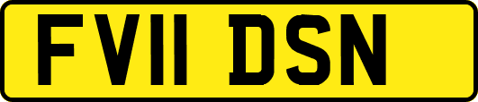 FV11DSN