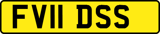 FV11DSS