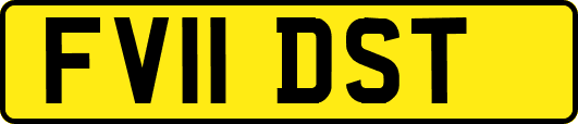 FV11DST