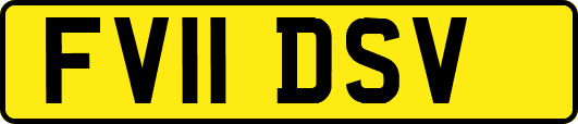 FV11DSV