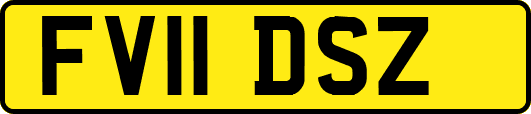 FV11DSZ