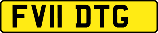 FV11DTG