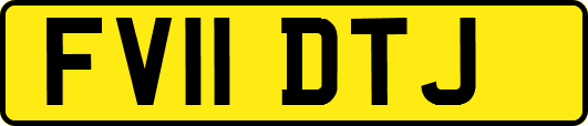 FV11DTJ