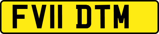 FV11DTM