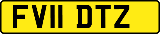 FV11DTZ