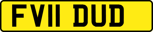 FV11DUD