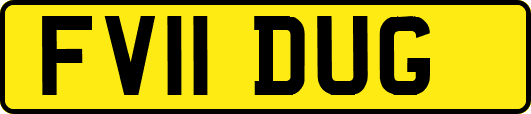 FV11DUG
