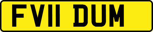 FV11DUM