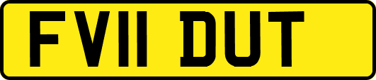 FV11DUT