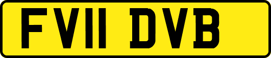 FV11DVB