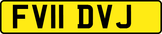 FV11DVJ